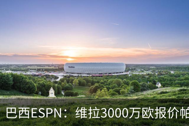 巴西ESPN：维拉3000万欧报价帕尔梅拉斯边锋阿兰遭拒