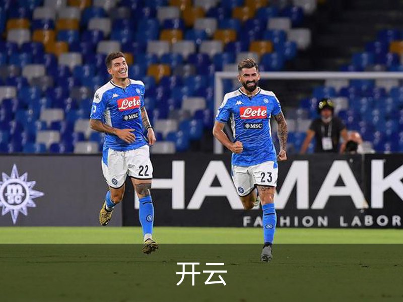 开云简介