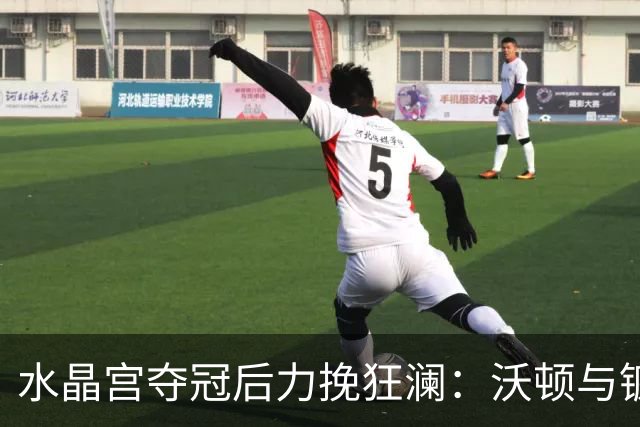 水晶宫夺冠后力挽狂澜：沃顿与镰田大地能否留队成谜！