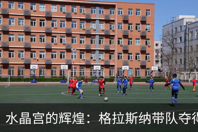 水晶宫的辉煌：格拉斯纳带队夺得三冠，勒沃库森欲引进新帅