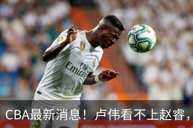 CBA最新消息！卢伟看不上赵睿，张镇麟转会费超5000万，林葳无缘国家队原因曝光